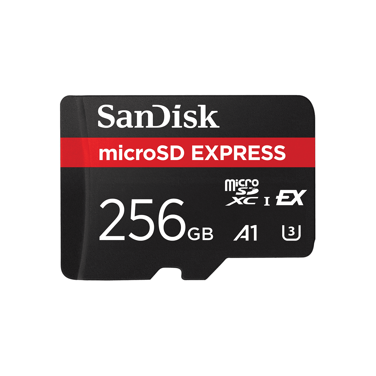 256 GB SD Card